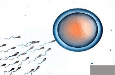 天津试管婴儿胚胎移植后的注意事项